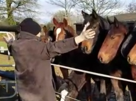 vos_photos/>
                                                 <span class=