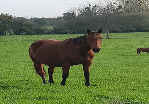 vos_photos/>
                                                 <span class=